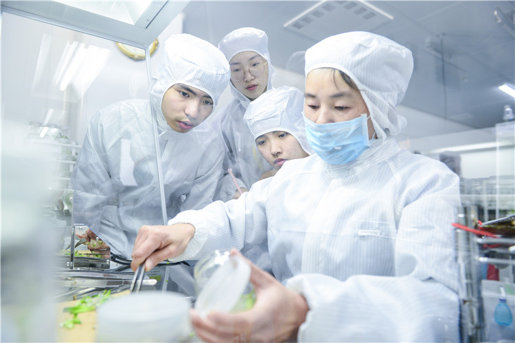 20180525实践队员深入闽卉(福建)园艺有限公司无菌实验室了解多肉植物无土栽培技术 (1).JPG